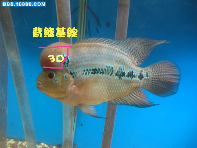5_1262_de447cf22984c93.jpg