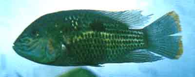 2006914142922306[1].jpg