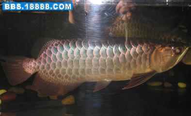 20061713502726584.jpg