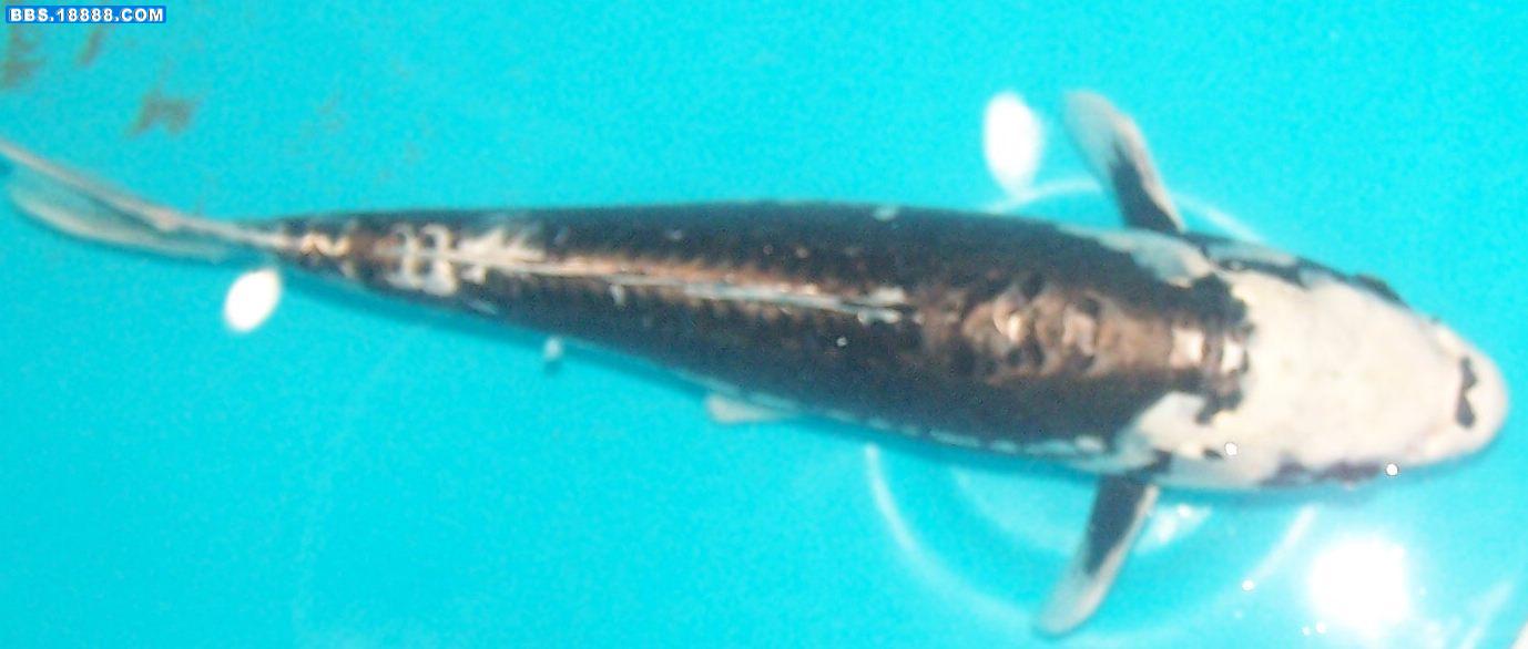 100_1748.jpg