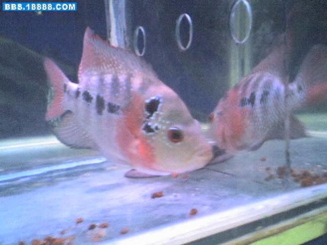 26-09-06_1729.jpg