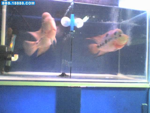 26-09-06_1731.jpg
