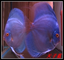 20057314237364.jpg