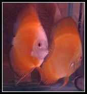 20057314331362.jpg