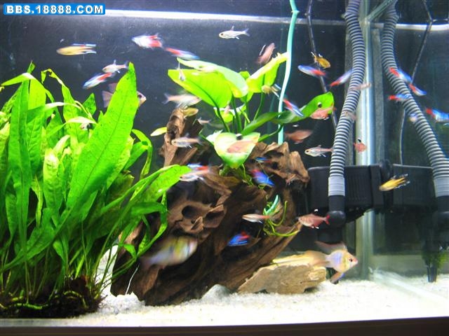 IMG_1247 (Small).jpg