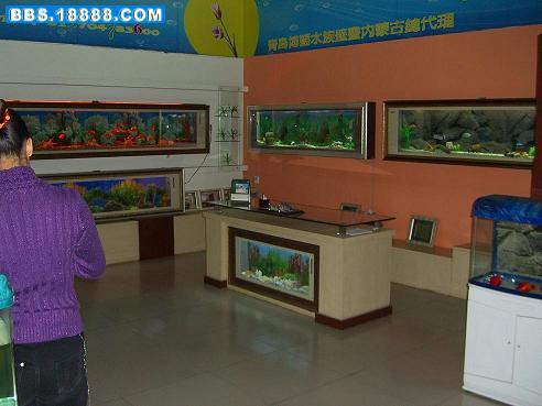 CIMG0789.JPG
