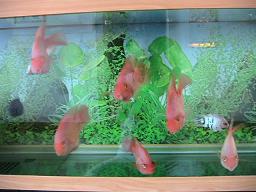 IMG_0110_2.JPG