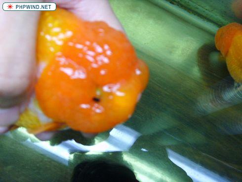照片 288.jpg
