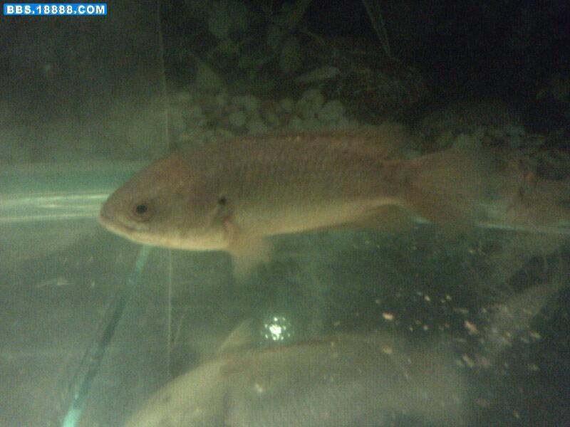 Picture0192.jpg