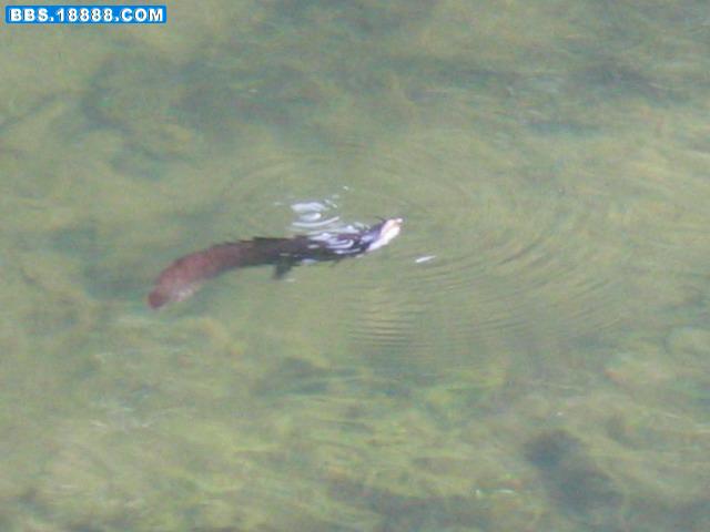 100_0034.JPG