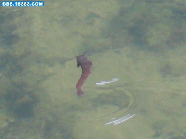 100_0035.JPG