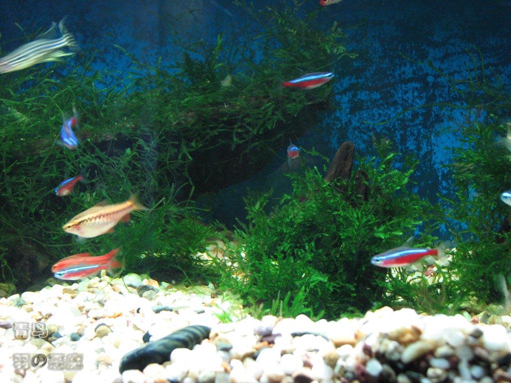 IMG_1133副本.jpg