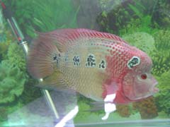 200672103138931.jpg