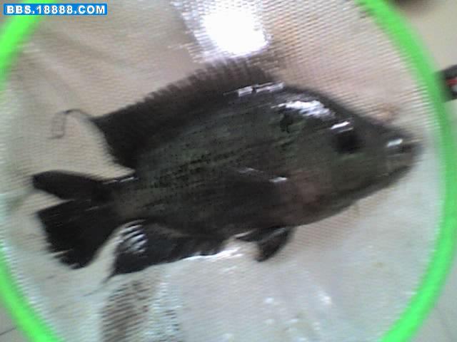 15-12-06_1310.jpg