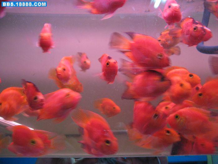 照片 036.jpg
