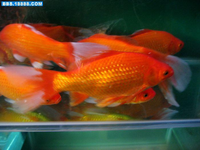 照片 093.jpg