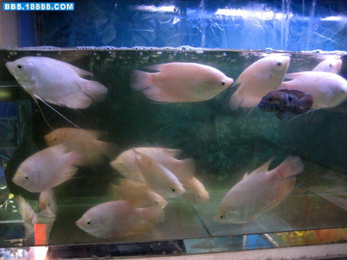 照片 074.jpg