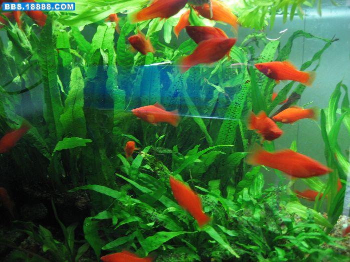 照片 053.jpg