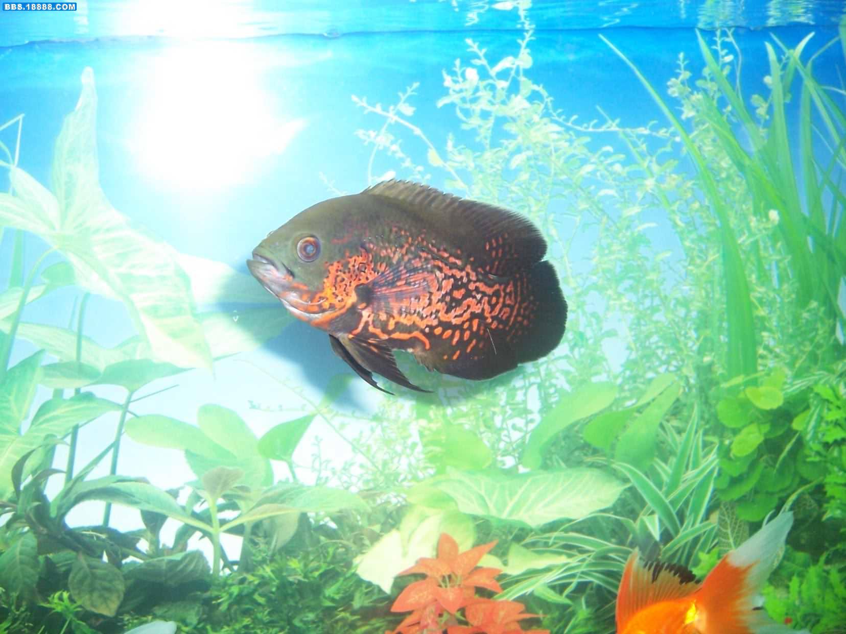照片 114.jpg