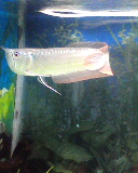 0602174206.JPG
