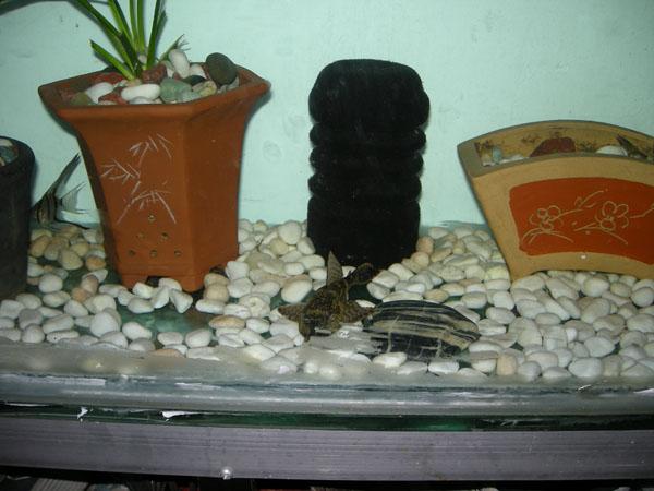 DSCN1124.JPG