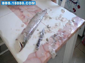 esdsds.jpg
