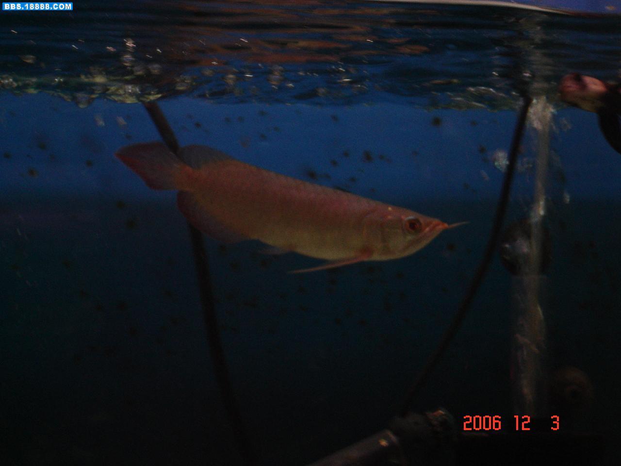 DSC02580.JPG