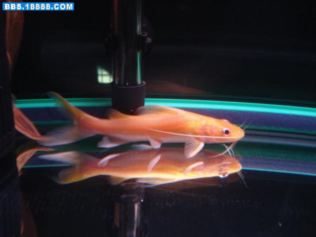 DSC01557.JPG
