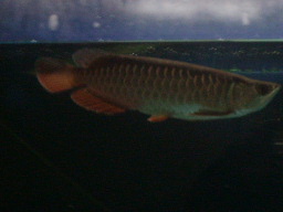 S6001131.JPG