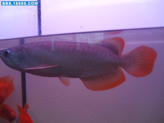 S6000823.JPG
