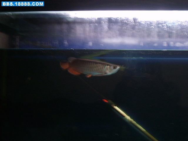 S6001122.JPG