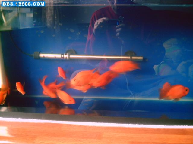 PICT0473.JPG