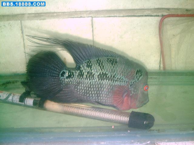 PICT0517.JPG