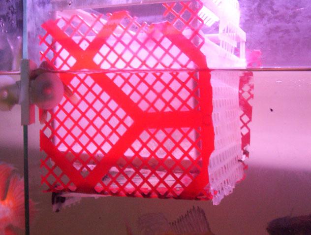 100_3377.jpg