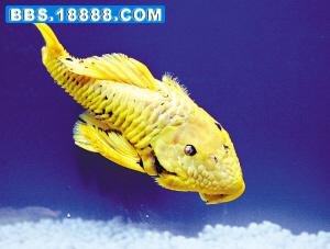 2006092906.jpg
