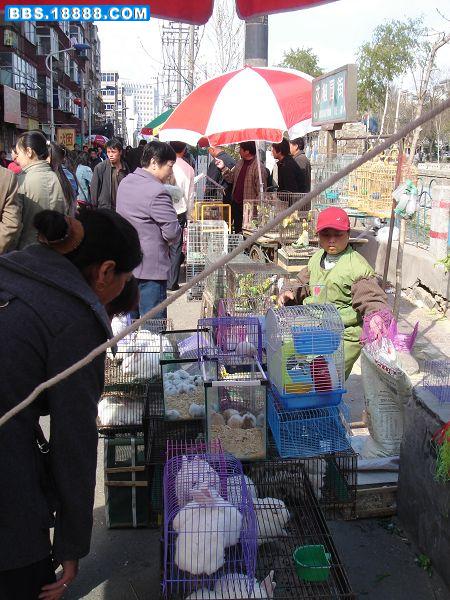 修02390.jpg
