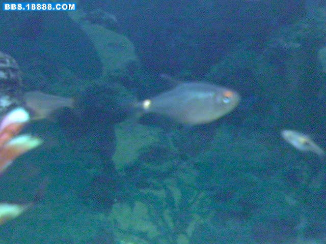 新照片 059.jpg