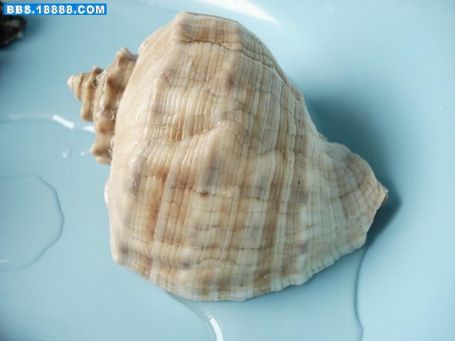 DSC02816.JPG