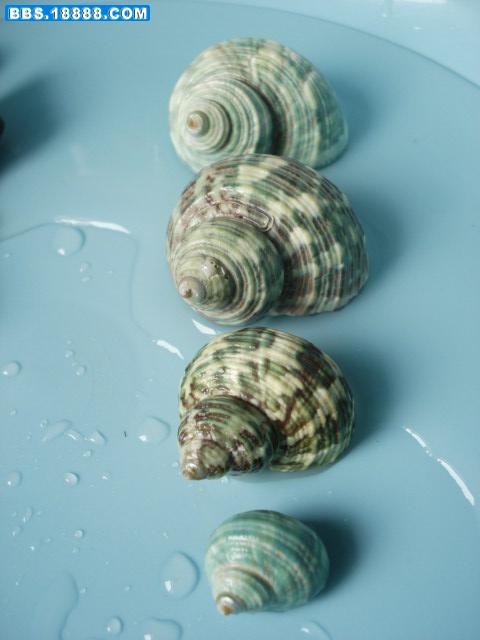 DSC02873.JPG