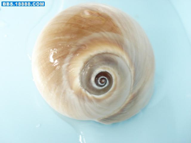 DSC02864.JPG