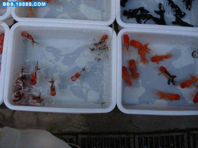 DSC01026.JPG