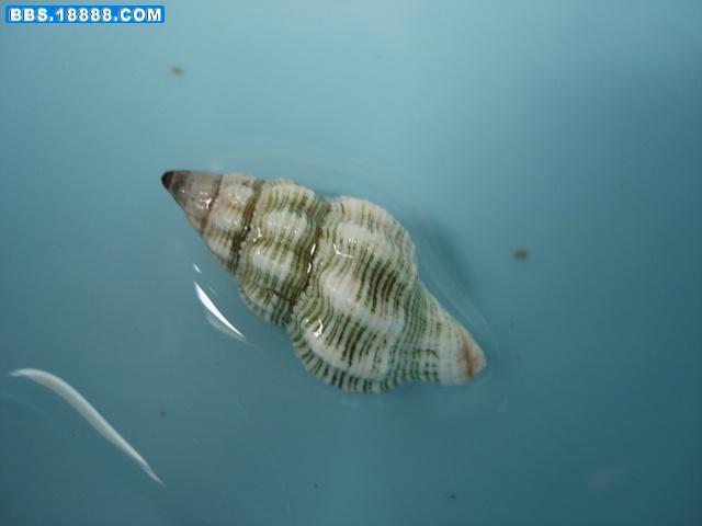 DSC02915.JPG