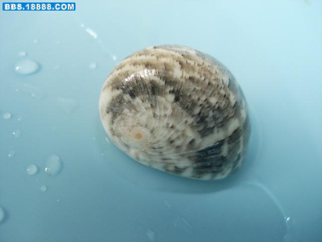DSC02892.JPG
