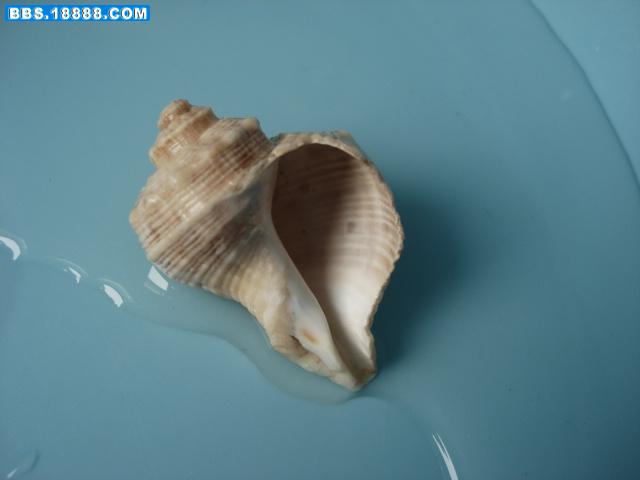 DSC02880.JPG