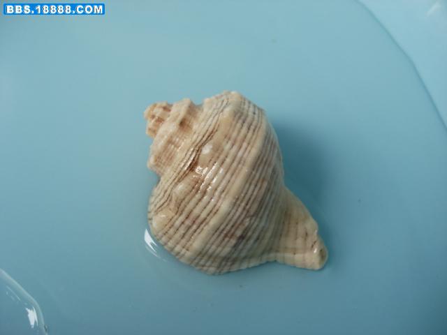 DSC02877.JPG