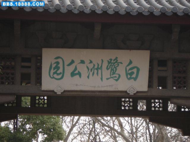 DSC00982.JPG