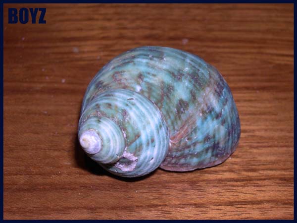 DSCN6457.jpg