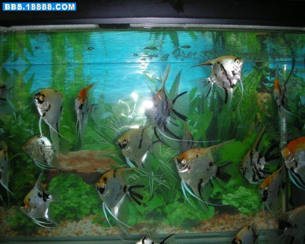 DSCN0307.jpg