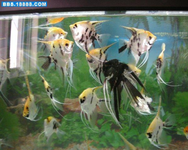DSCN0308.jpg