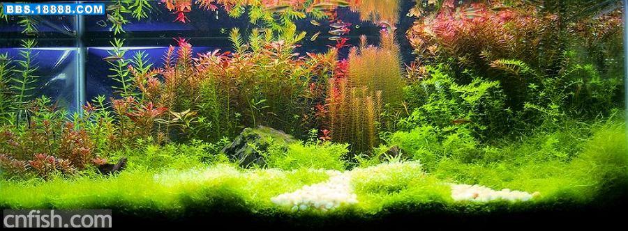 20071003_2a4c1145f8780068f14cIWJ96aa3kXUy.jpg